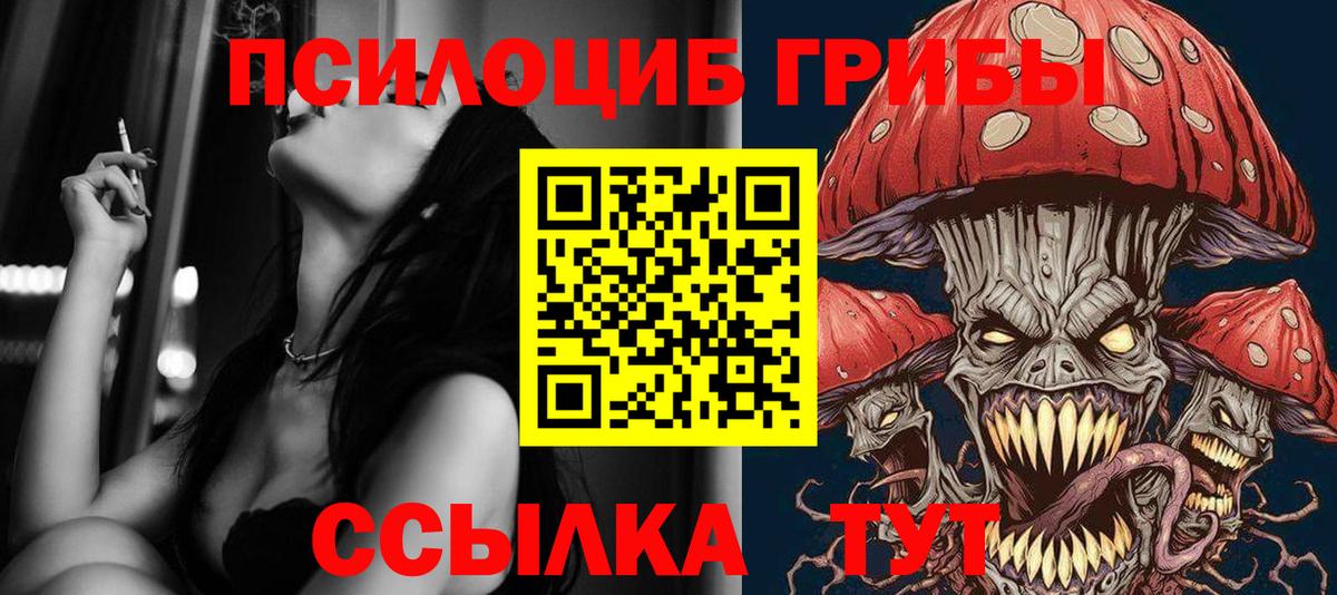 Псилоцибиновые грибы мухоморы Азнакаево