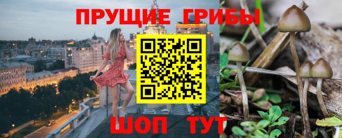 цены   Галлюциногенные грибы Cubensis  Вход с VPN  Азнакаево 